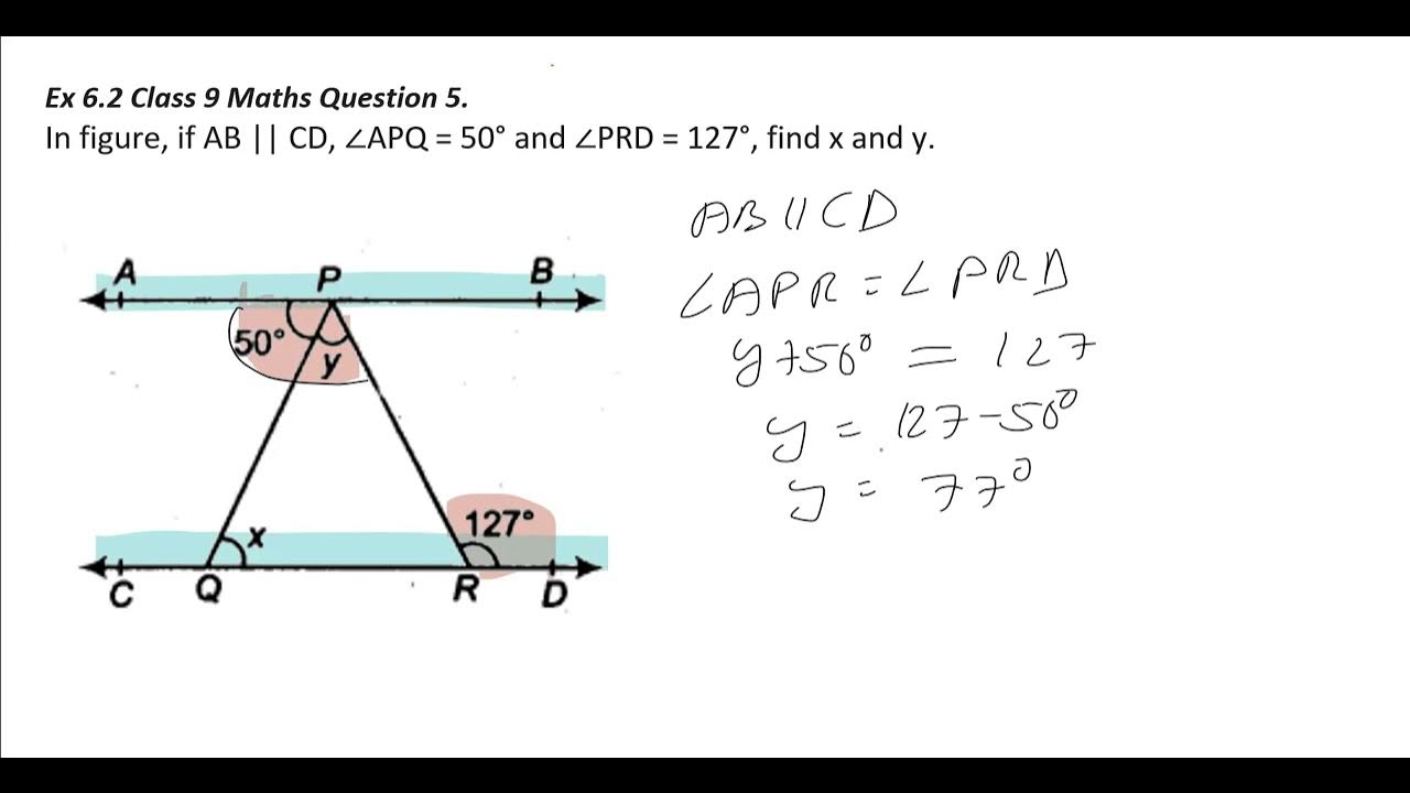 Ex 6 2 class 9 maths question 5 youtube