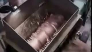 How polony is made.... screenshot 5