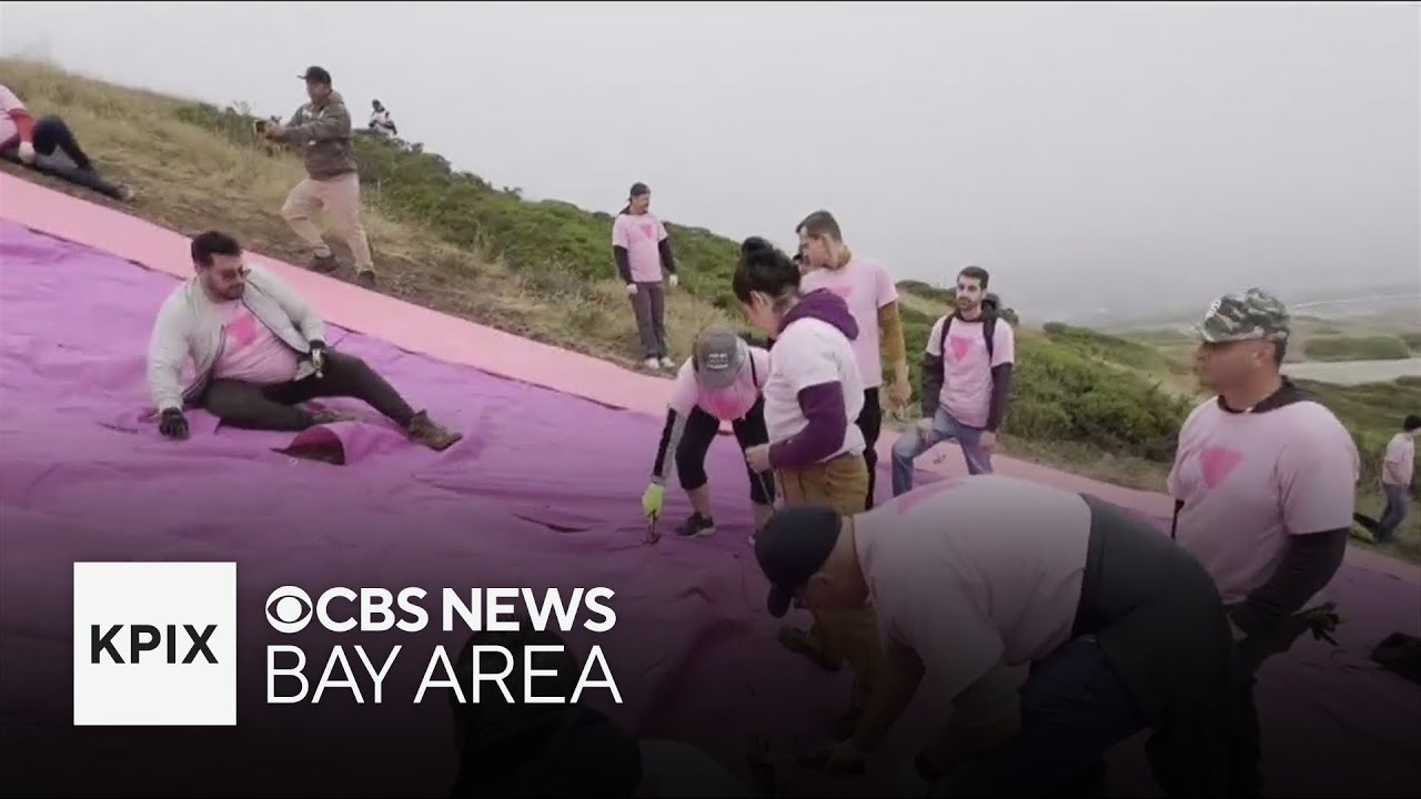 Hundreds piece together San Francisco's Pink Triangle