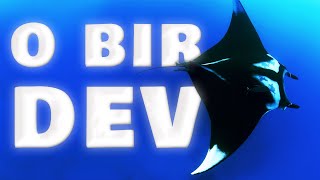 Maldivler Dalış I Dev Manta Ve Köpek Baliği Gördüm I Mert Kahya