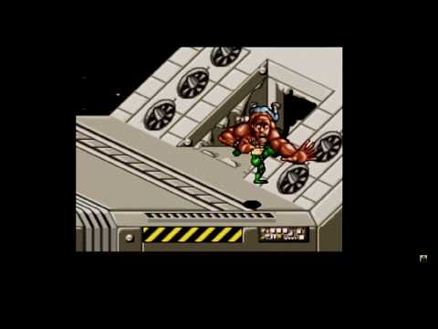 Shadilay Battletoads