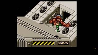 Shadilay Battletoads