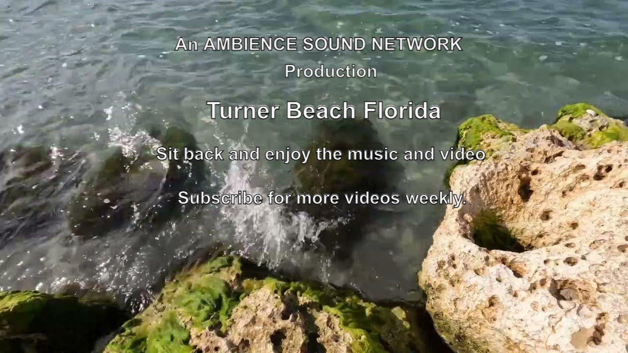 Beach Ambience. Turner Beach Florida A Nature Lover's Paradise time