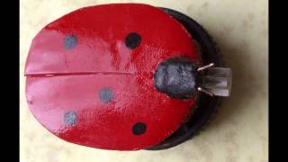 Lady bug simple bot Movie