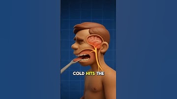 Why Do You Get Brain Freeze?