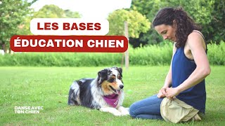 4 exercices faciles pour travailler les autrocontrôles avec son chien