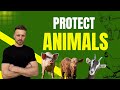 002: John Oberg: Using Social Media to Transform Animal Advocacy