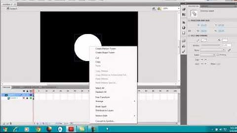 Masking using Action-script 2.0