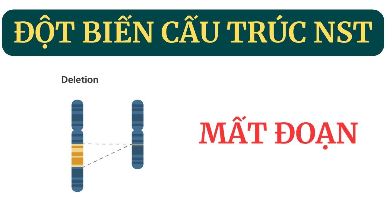 Mất đoạn - Đột biến cấu trúc NST