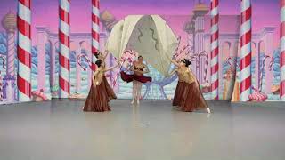 Virtual Nutcracker Suite- Highlight from Act 2