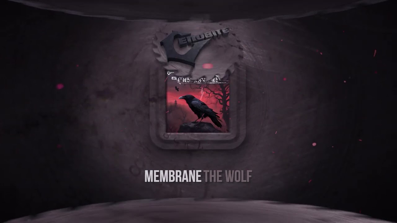 Watch Membrane - The Wolf on YouTube Watch Membrane - The Wolf on YouTube