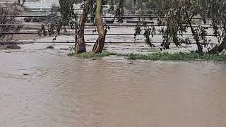 Flooding Oak Hills