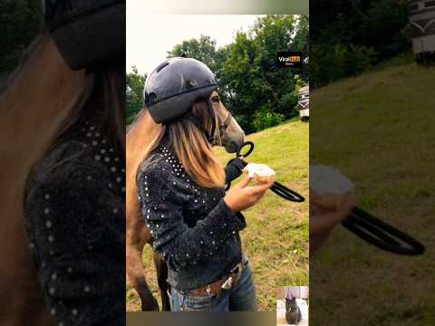 #perfectly timed coincidence #shorts #perfect..mp4 #funnyshorts