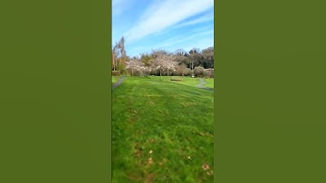 map2earn merge.southeast.hotmail overthereality