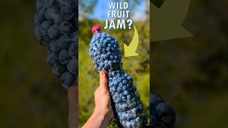 Download Lagu Wild Sloe Jam: From Berry to Jar! MP3