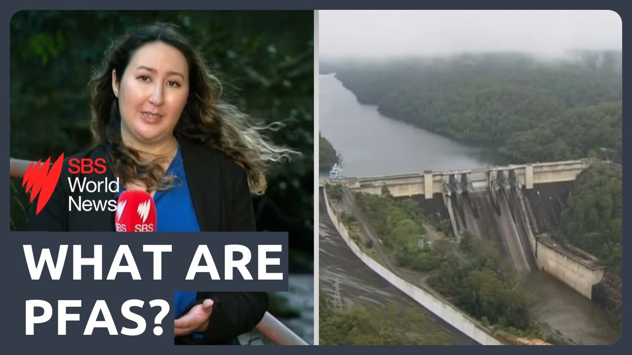 What are PFAS? The 'forever chemicals' detected in Sydney water catchments
