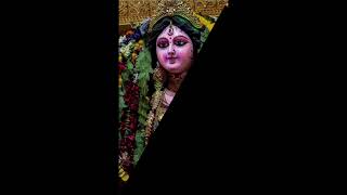 pyara saja hai Tera dwar bhawani #shortsvideo #shortsfeed#youtubeshorts#viral