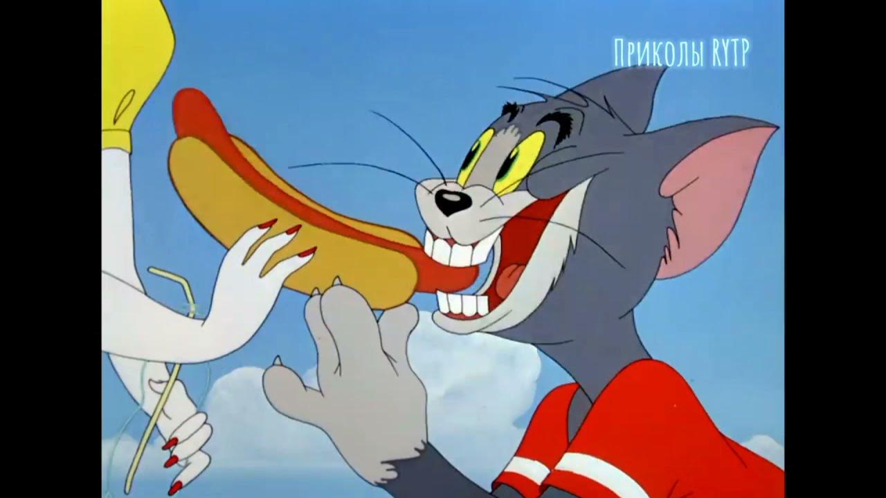 Том и джерри. Tom and jerry tom. Том и перец. Tom and jerry. Том и перец.