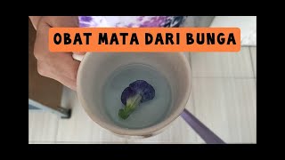 Membersihkan kotoran mata / belek bayi dengan bunga telang !!