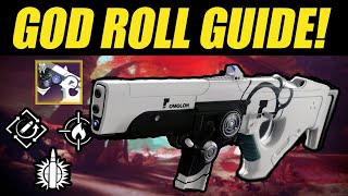 Celebrity Destiny 2 Hung Jury SR4 God Roll Guide | Best Perks for Hung Jury Profile
