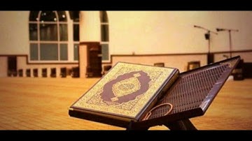 القرآن الكريم - الشيخ محمد أيوب - سورة النصر - The Holy Quran