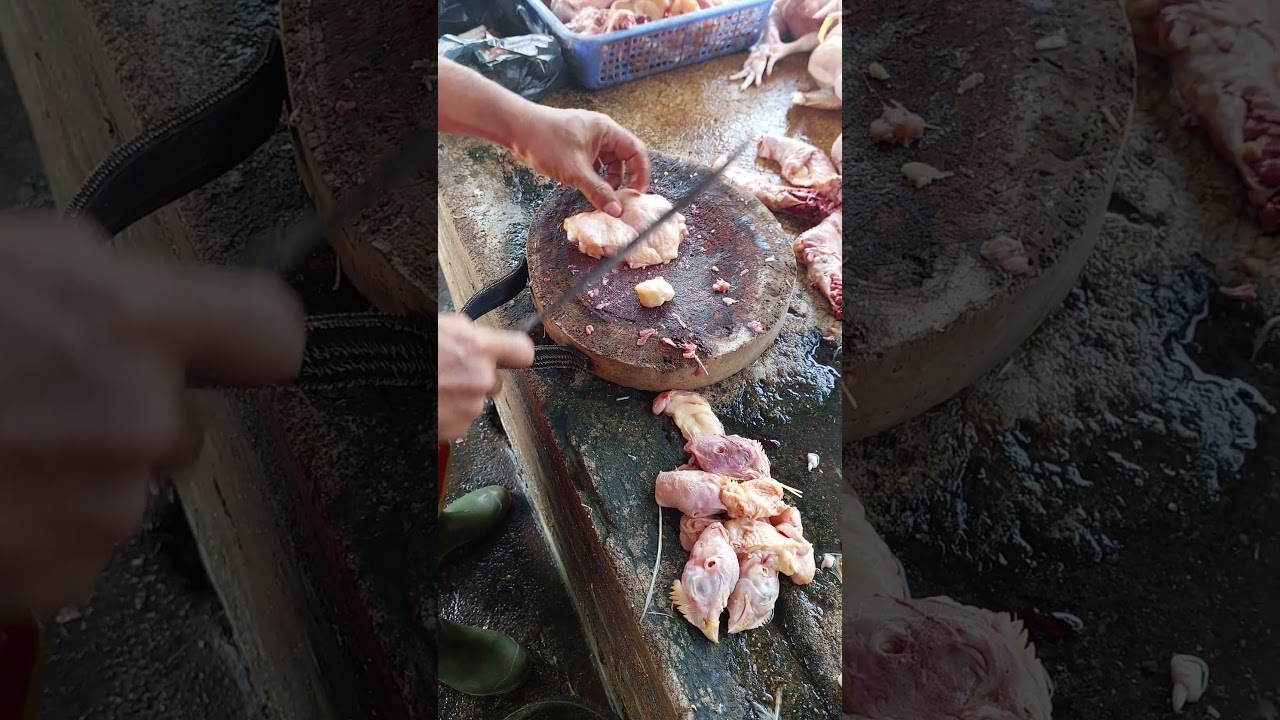 Chicken Cutting Skill for Beginner like a Pro