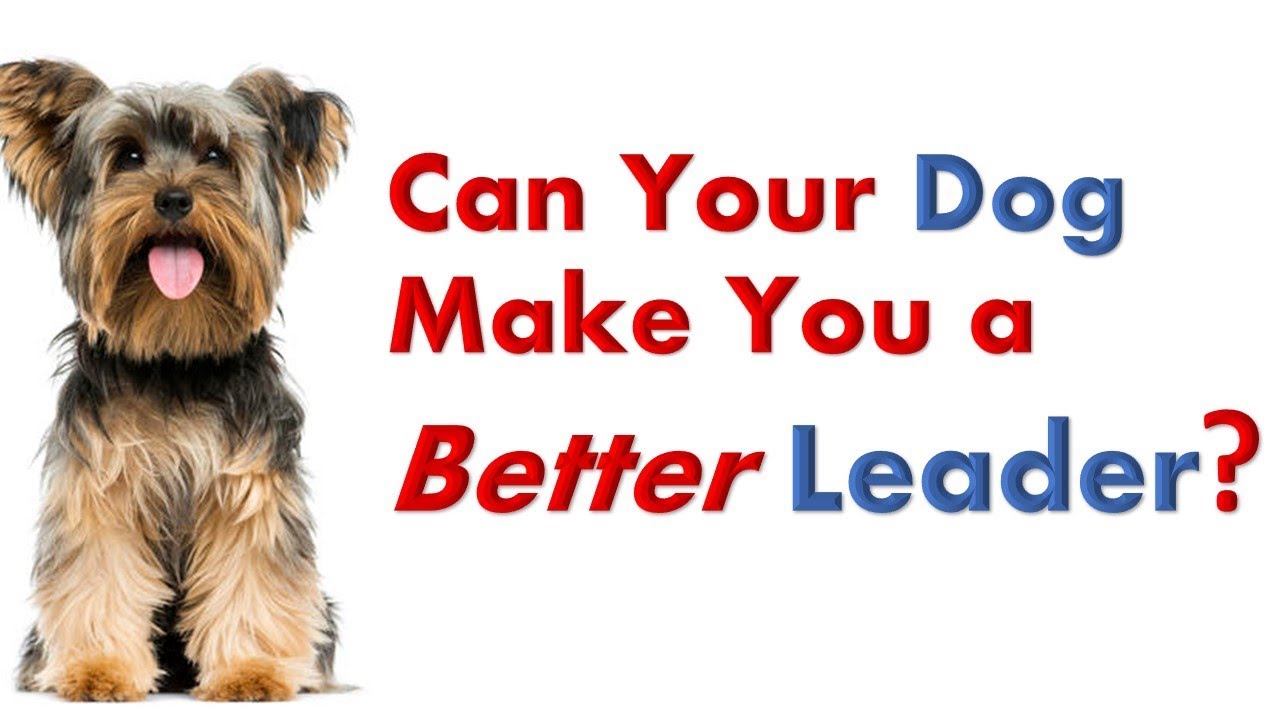 Leadership Talk How You Can A Better Leader by Working With