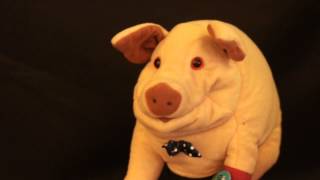 Ak-Chin Indian Community Library