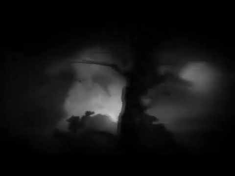 Richard Marx, Angelia, Festival de Viña del Mar 1992