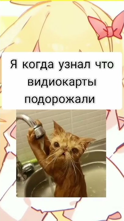 мем √16 #мем #прикол #вкусный_баклажан #видеокарты - YouTube