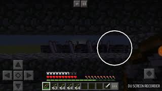 Esqueleto Wither Vs Pro Wtf