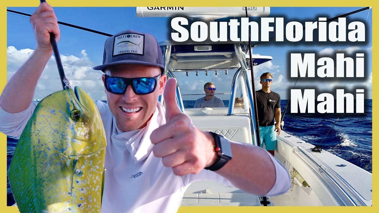 Offshore Mahi Mahi Fishing South Florida East Coast YouTube