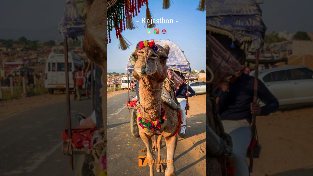 Rajasthan | Seven Destination | Best Travel Agency In Kolkata Rajasthan | Seven Destination | Best Travel Agency In Kolkata