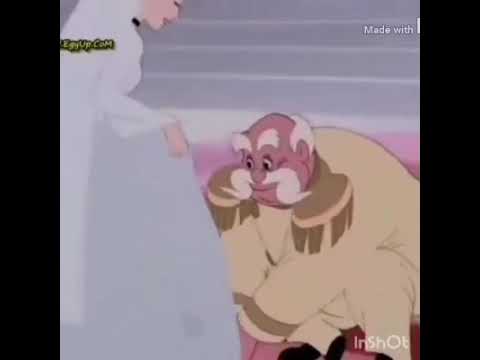 شريك العمر اجمل اغنية رومنسية بهاء عيسى