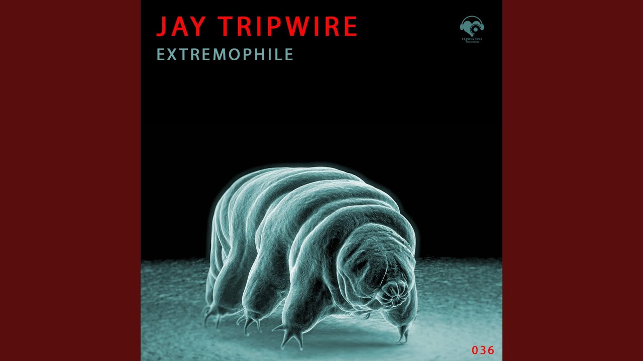 Watch Extremophile (Jay Tripwire Remix) on YouTube Watch Extremophile (Jay Tripwire Remix) on YouTube