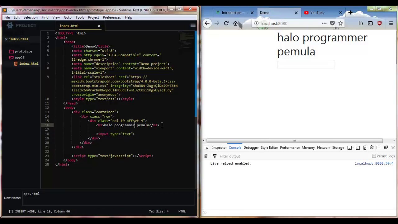 Handling User Input Javascript - YouTube