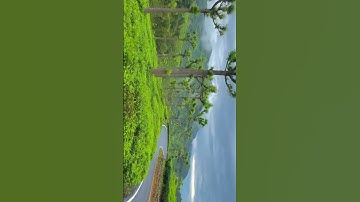 Nature lover | Munnar Vibes | Trip Whatsapp status |Kerala