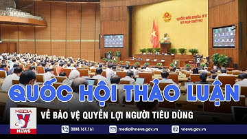 Quốc hội thảo luận về Bảo vệ quyền lợi người tiêu dùng - VNEWS