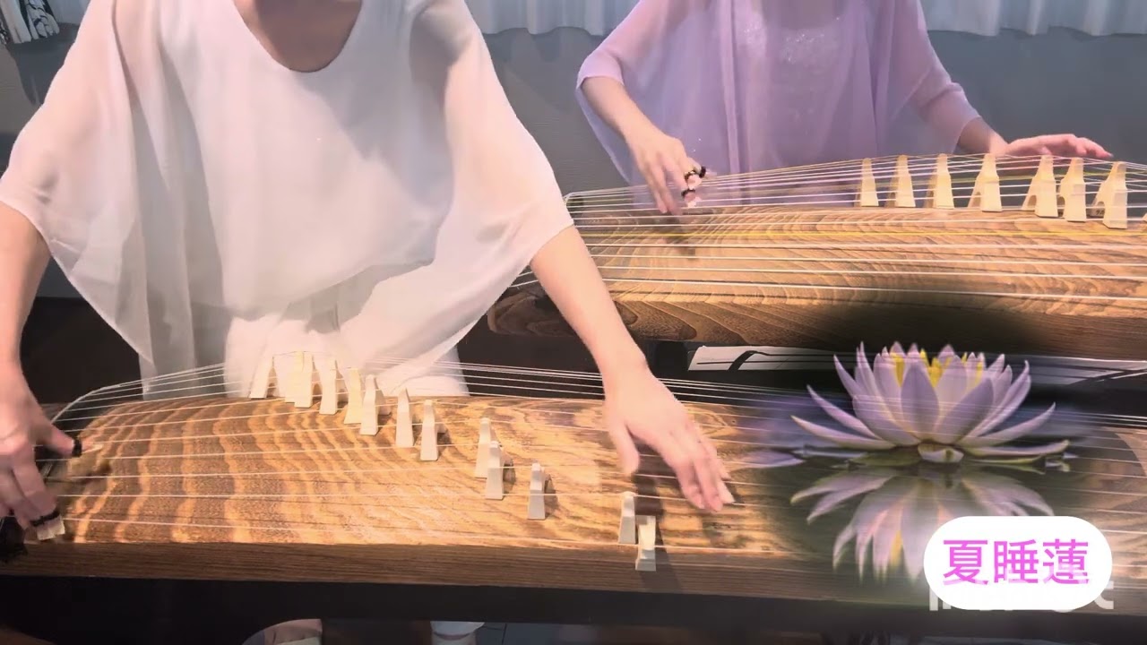 箏】夏睡蓮 MAKI.code M作曲 箏.十七絃二重奏 箏花 - YouTube