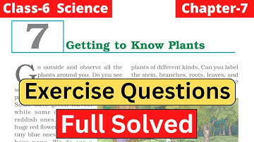 Exercise solution Class 6 Science Chapter 7 | Getting to Know Plants