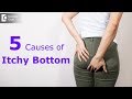Itchy bottom know these important causes  prevent this  dr rajasekhar m r  doctors circle