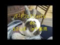 ジャパンバードフェス　de　うさんぽ　#うさぎ #レッキス #rabbits #rex #シロチャ #JBF