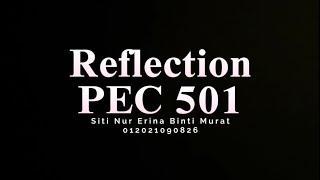 Overall Reflection PEC 501