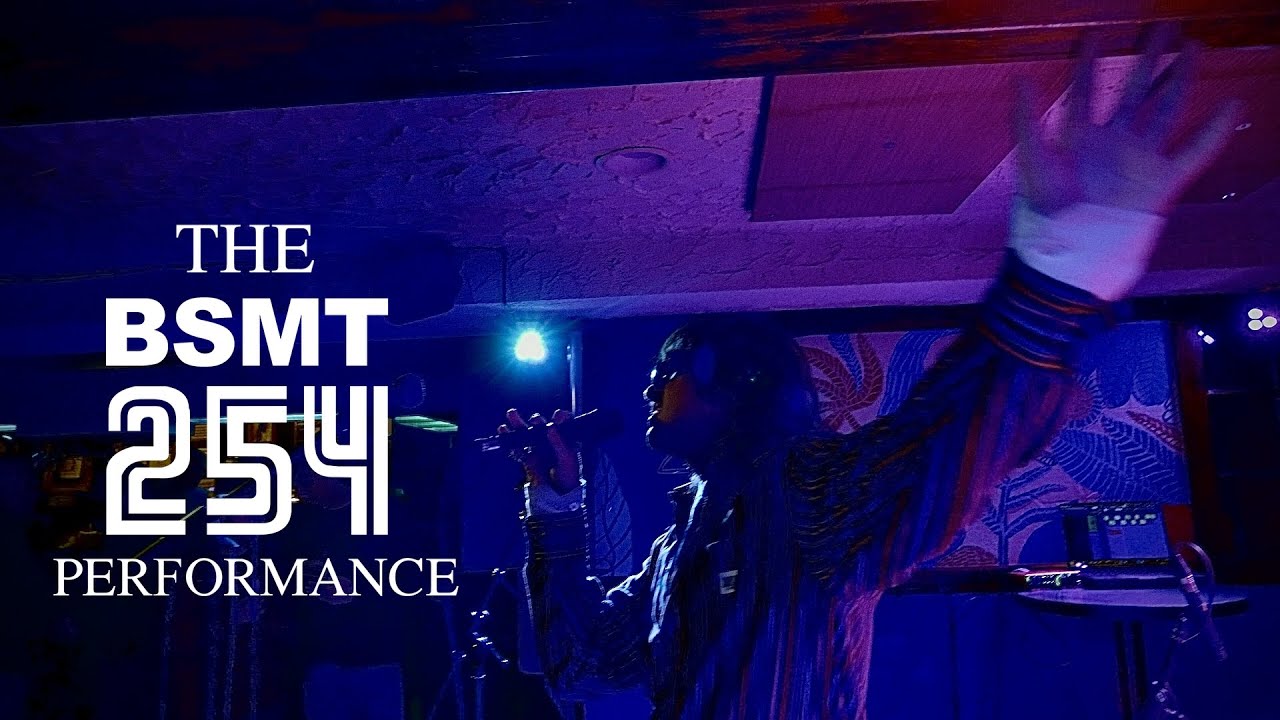 THE BSMT254 PERFORMANCE