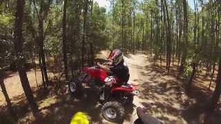 TRX400X Vs. Tree Croom FL