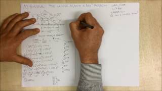 Taylormade@AUT: A3 Tutorial on "The Ladder Box Problem" Wealth