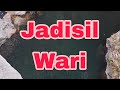 Jadisil wari