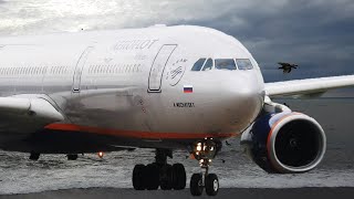 Аэрофлот Полет Сочи-Москва на Airbus A330-300 Рейс SU1117 Аэрофлот Полет Сочи-Москва на Airbus A330-300 Рейс SU1117