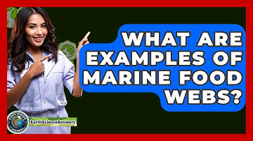 What Are Examples Of Marine Food Webs? - Earth Science Answers