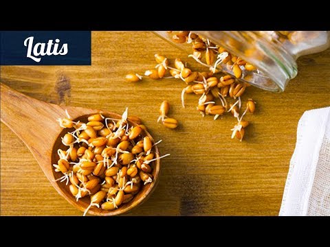 Стираем морщины - готовим маску из пророщенной пшеницы!